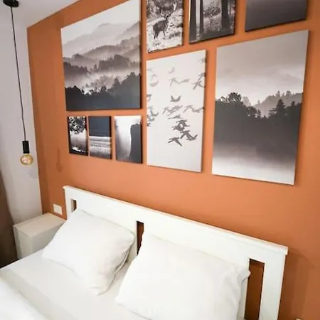 Apartment Chic Mountain Brasov