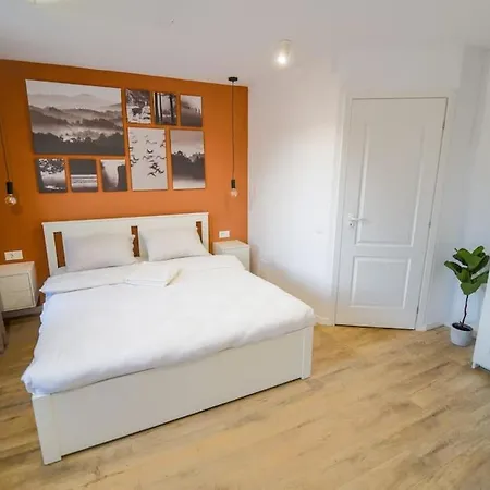 Chic Mountain Apartment Brasov